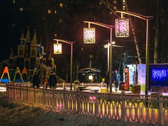 День дарения ёлочных праздничных шаров в Лианозовском парке