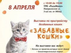 Выставка-пристройство "Забавные кошки" в ТЦ "РигаМолл"