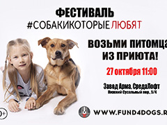Благотворительный фестиваль "Собаки, которые любят"