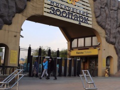 В пасхальные выходные возле входа в зоопарк откроется "Домик добра"
